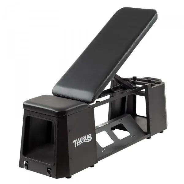 TAURUS picture