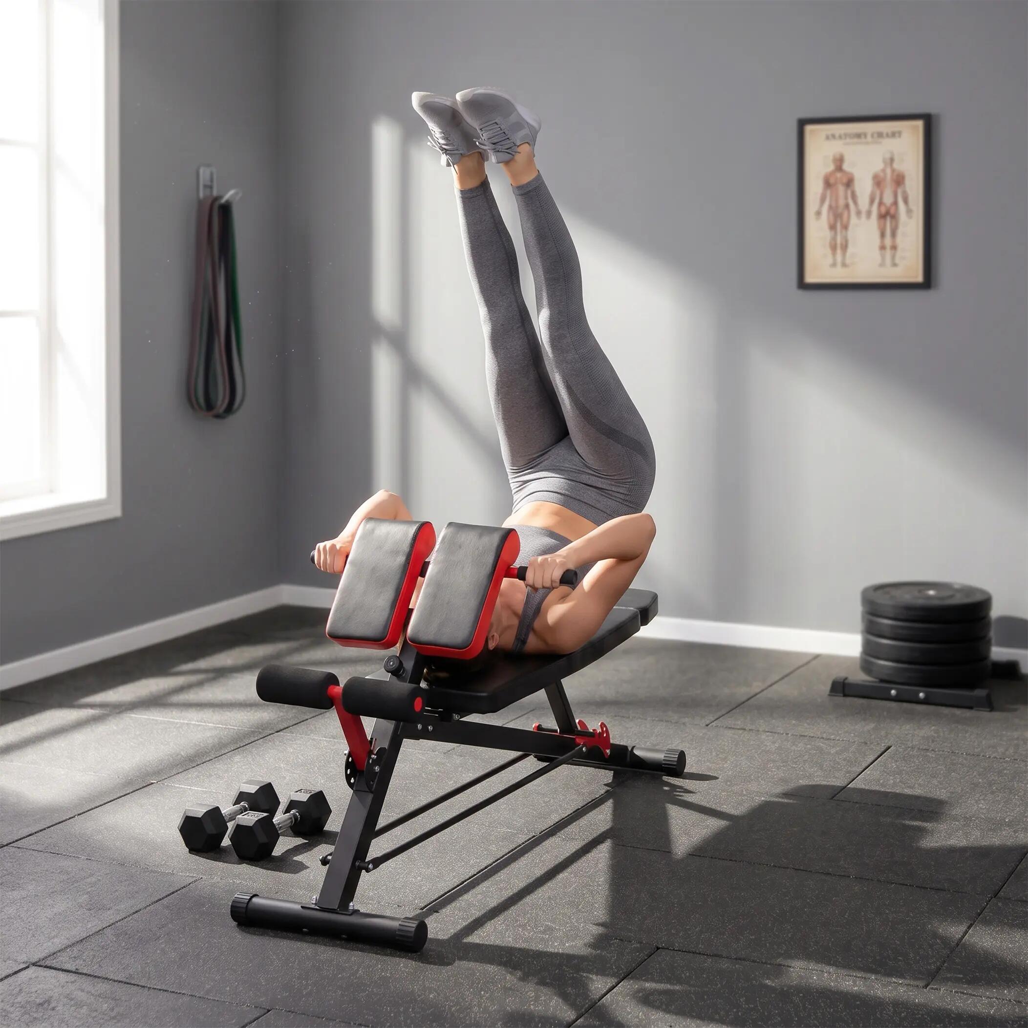Banco musculación Ajustable 64x146x73,5-85 cm Multifuncional Carga 300 kg HOMCOM 5/8