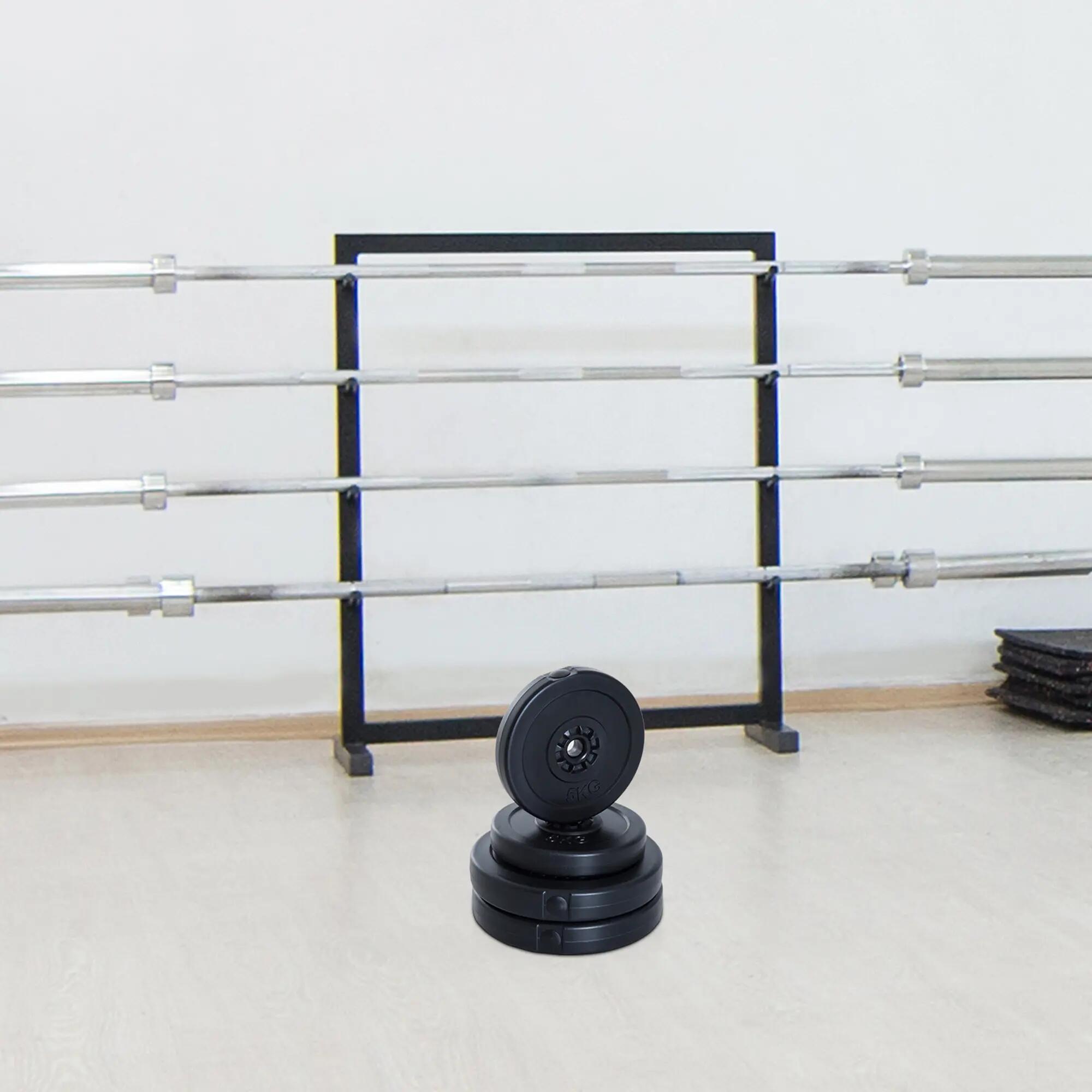 Disco Musculación 2x5 kg 2x10 kg de Plástico 25 mm HOMCOM 5/8