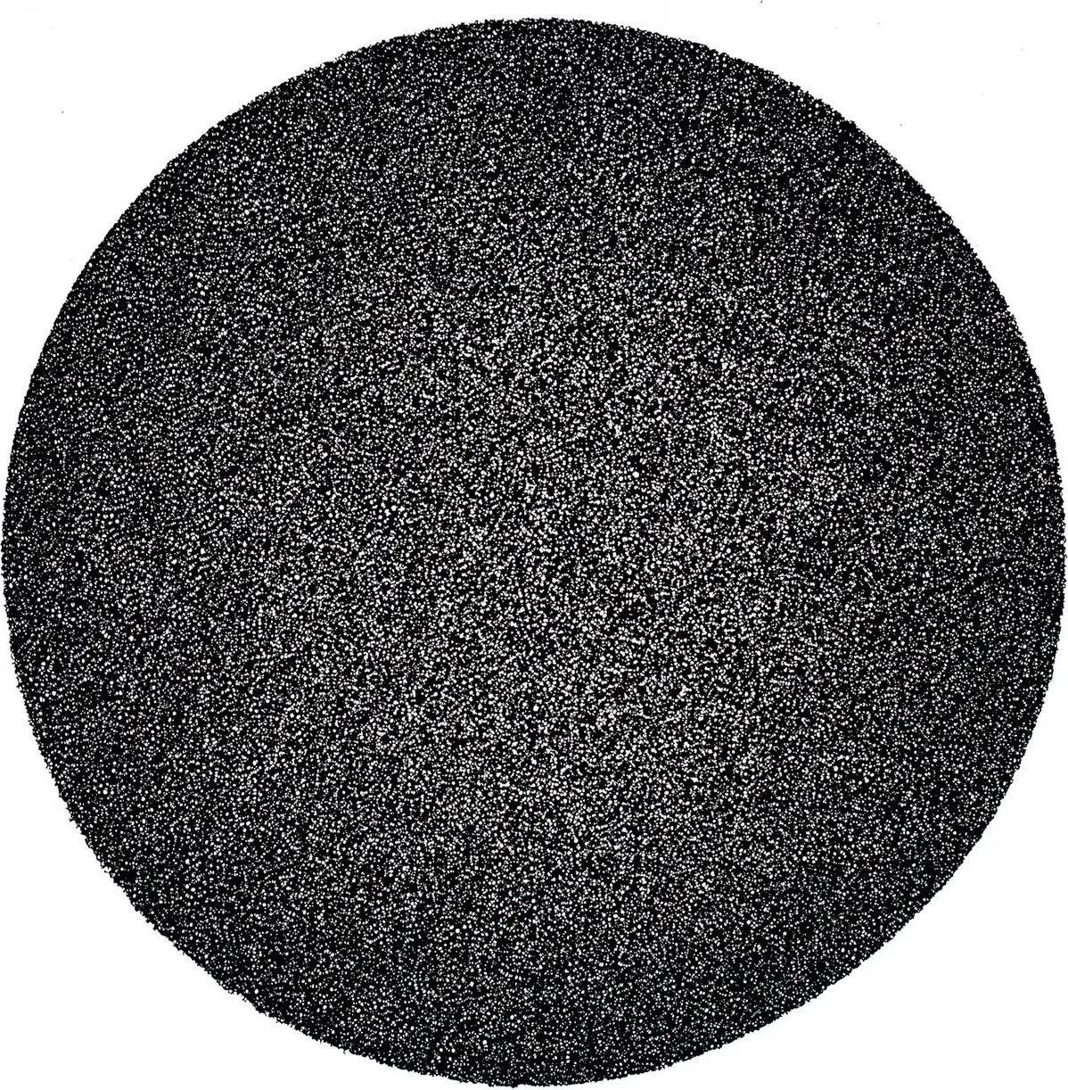Filtros de recambio Elite de carbón activo para el ventilador Elite Aria (x2) Ne 2/3