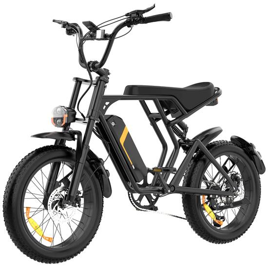 Elektro Fatbike 20" 48V 15Ah Akku abnehmbar BK29T