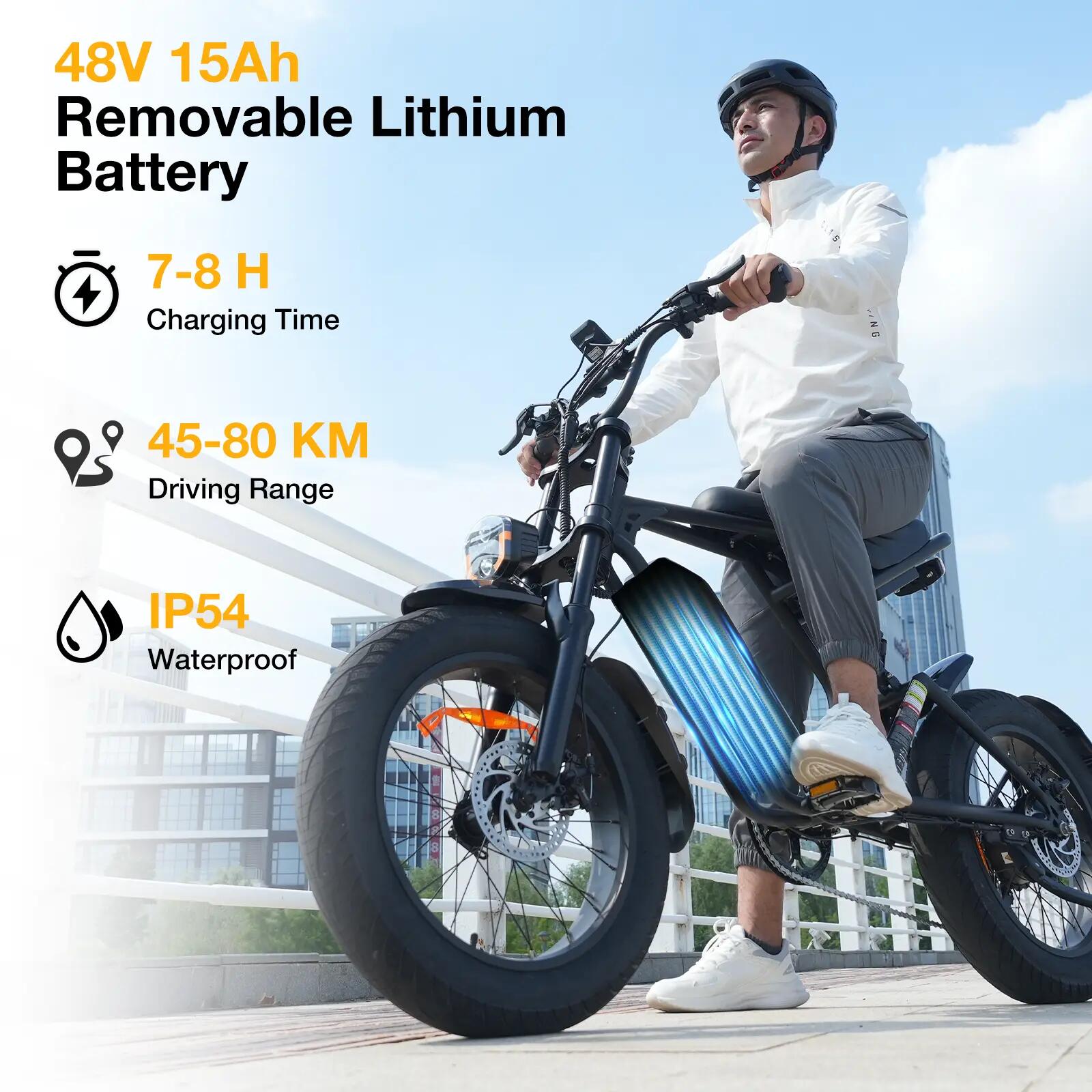 Elektrische fatbike 20" 48V 15Ah uitneembare accu BK29T 5/8