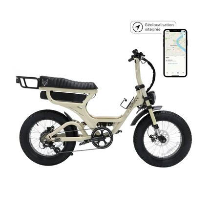 Vélo électrique cargo biplace - Fat Street Xtrail