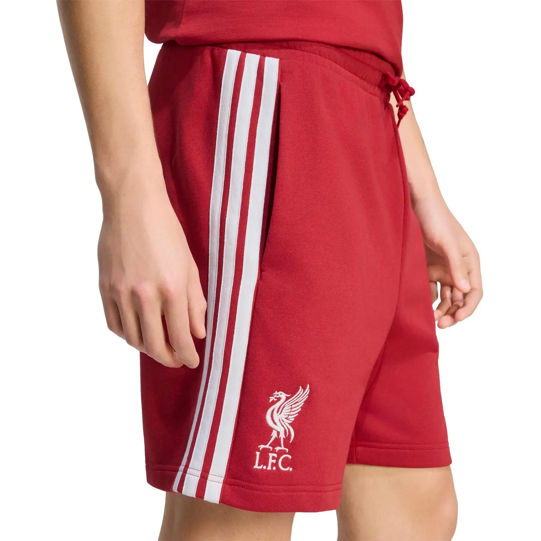 Korte Liverpool FC DNA 4/6