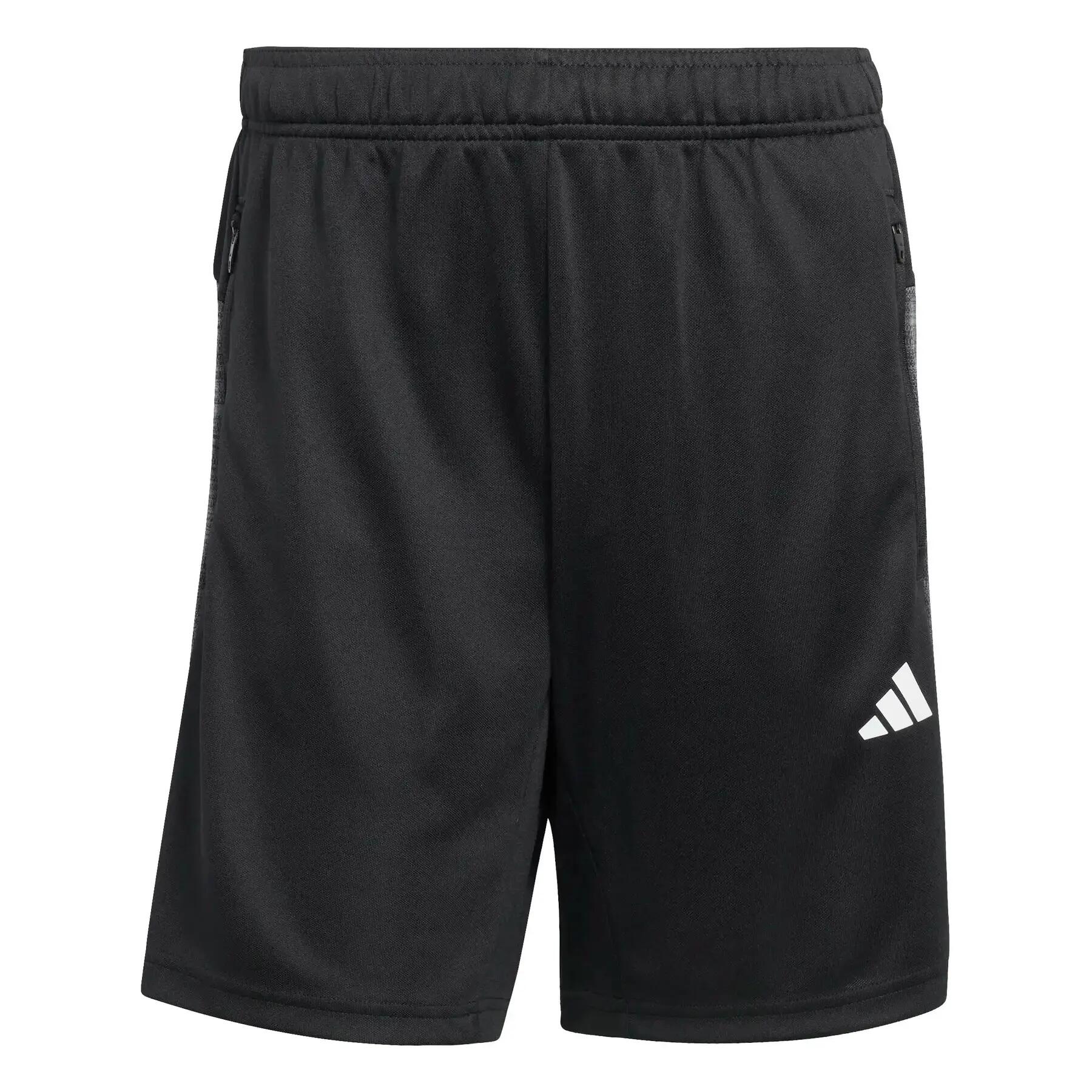 ADIDAS picture