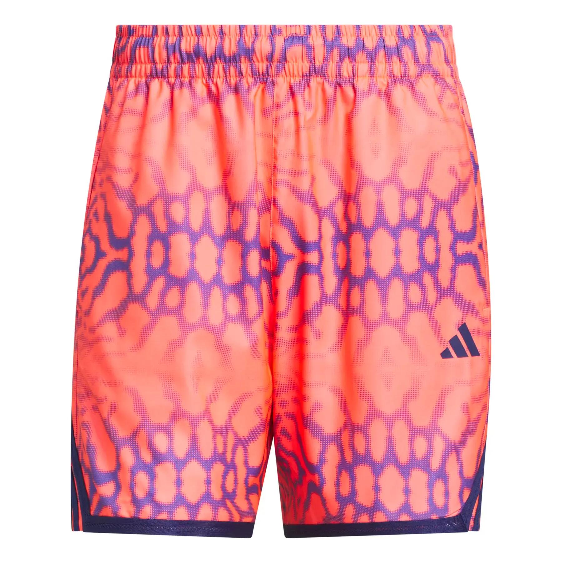 ADIDAS picture