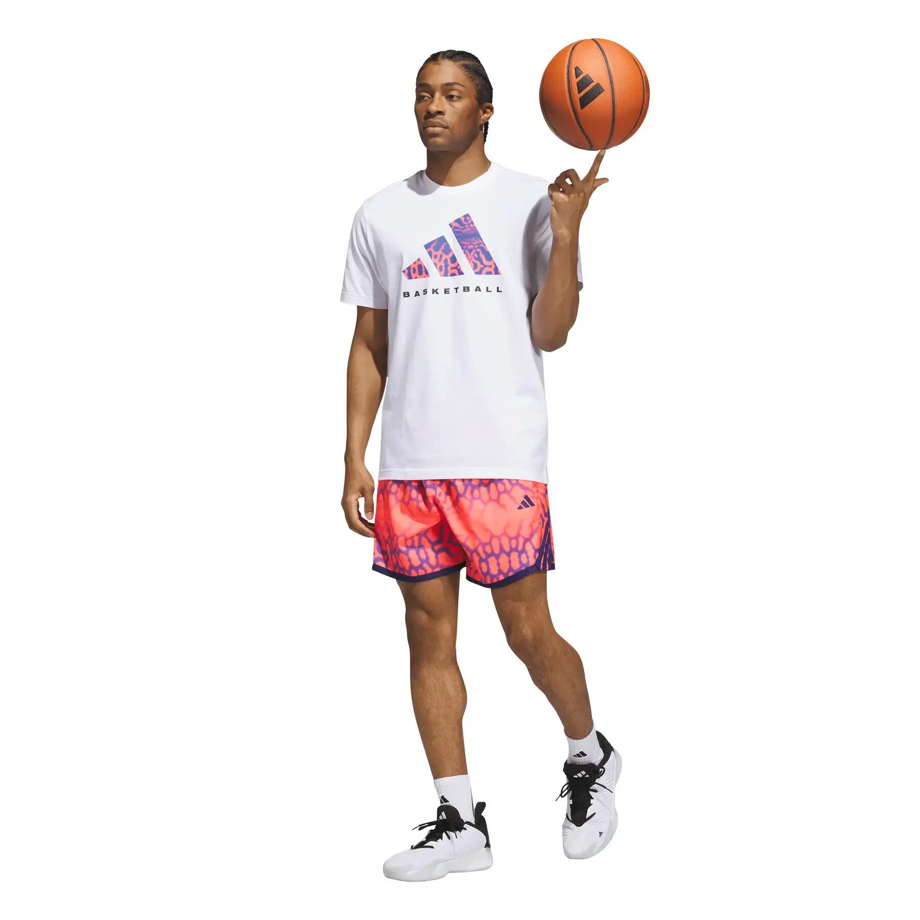 Short adidas Crazy Lite Graphic 5/7