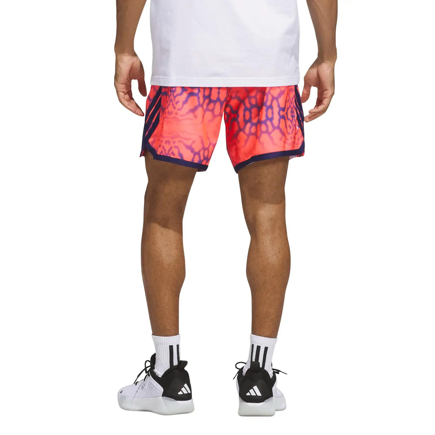 Short adidas Crazy Lite Graphic 4/7