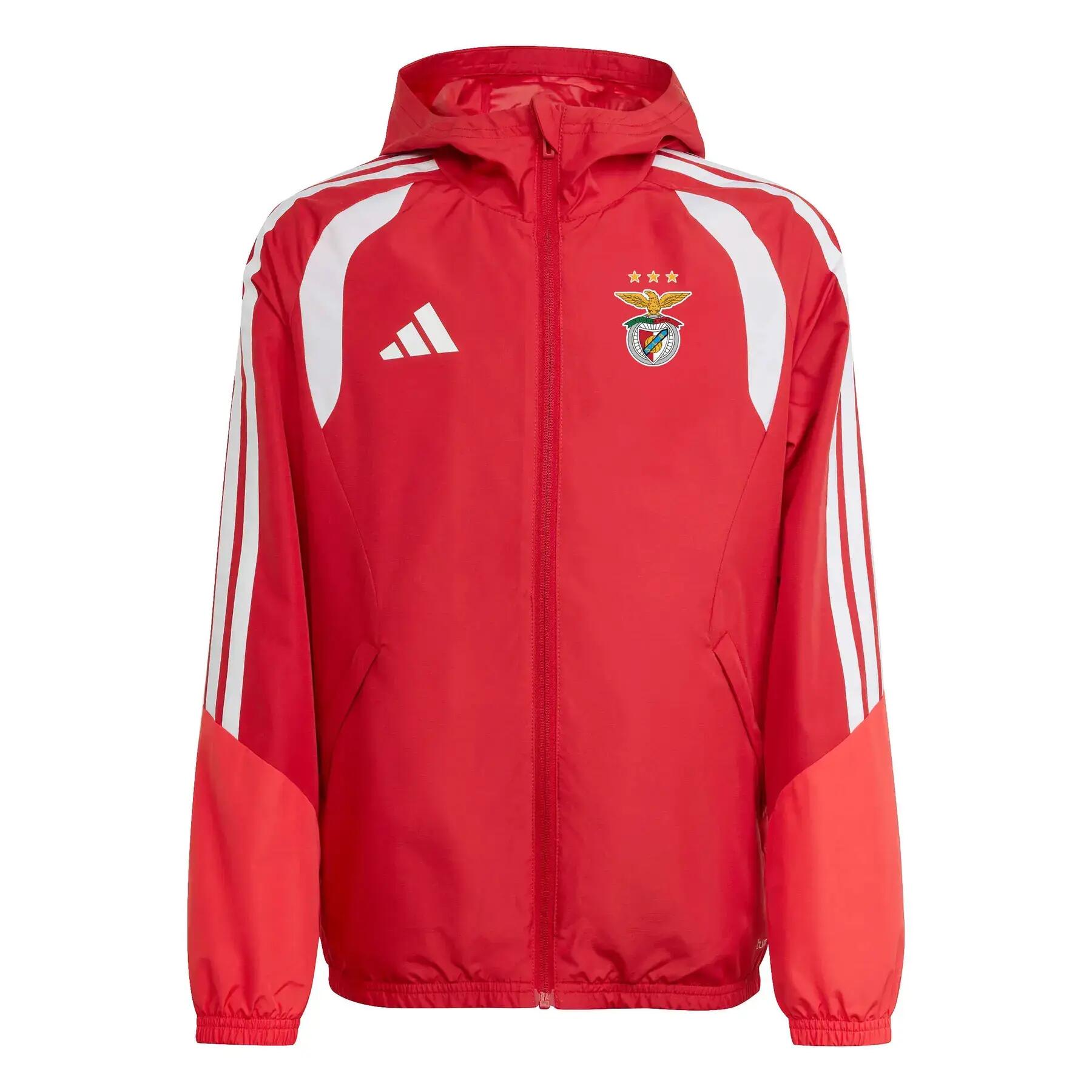 ADIDAS picture