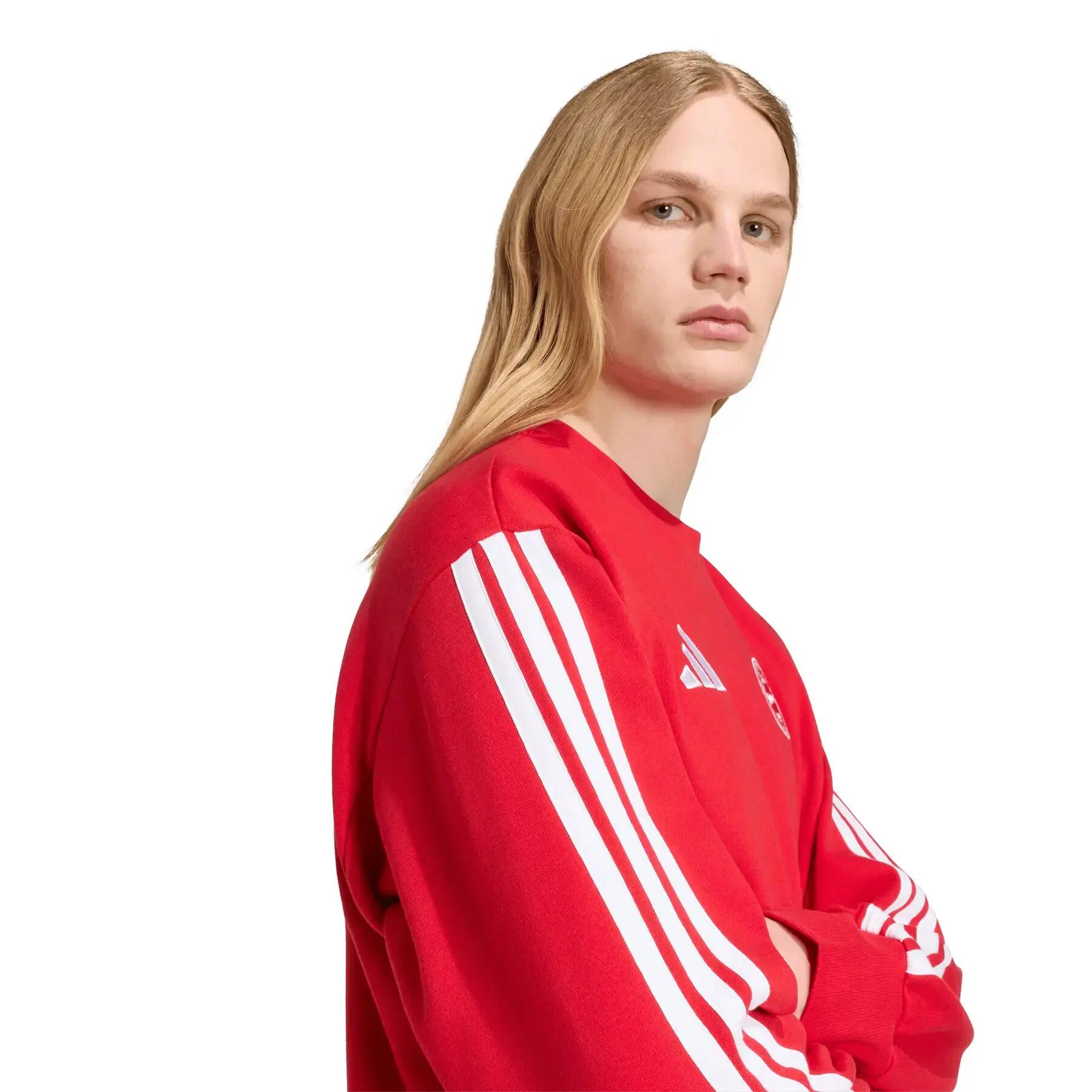 Sweatshirt Bayern Munich DNA 6/6