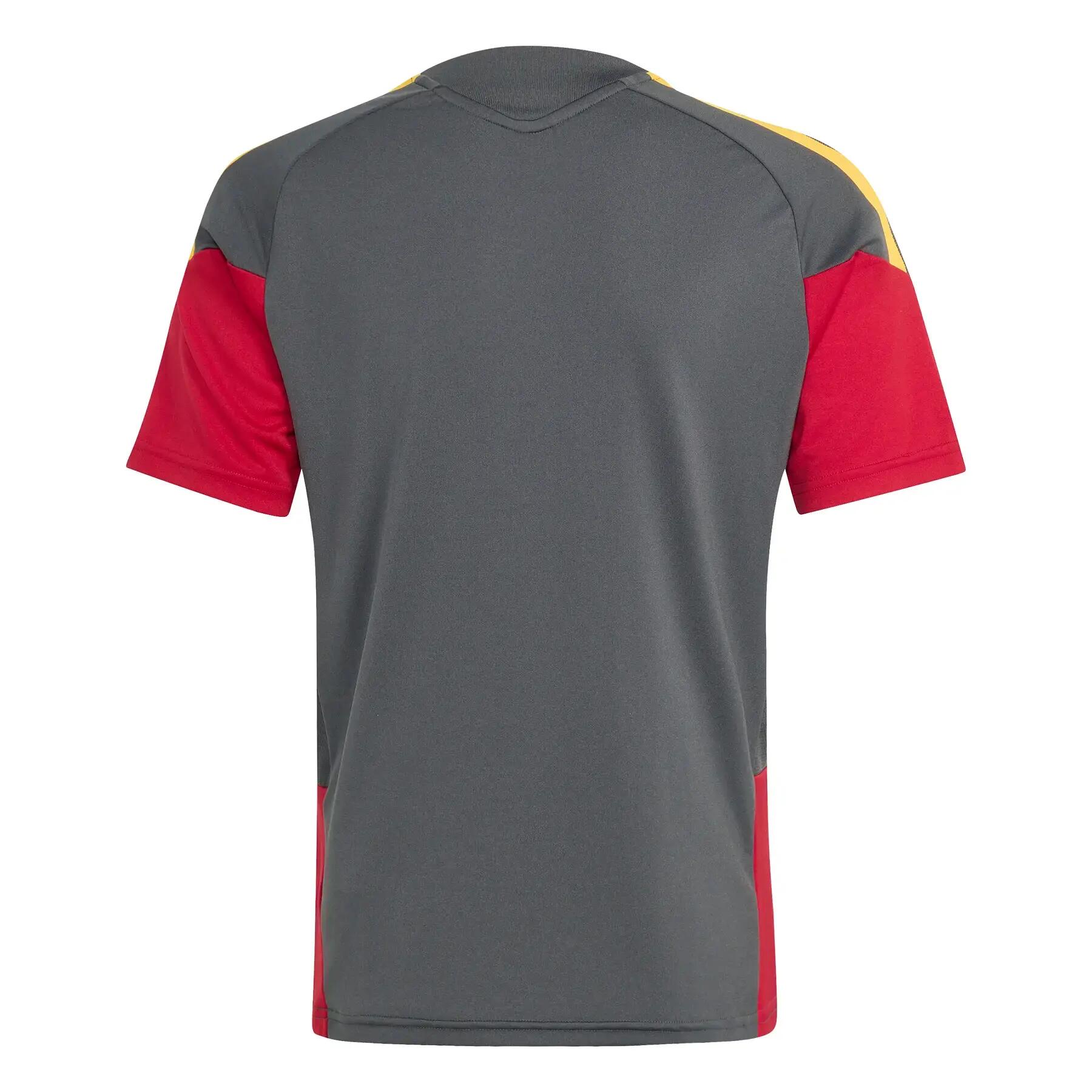 Maillot Competition enfant AS Roma Tiro 26 4/7