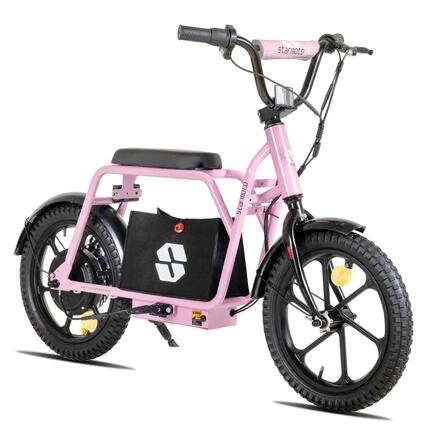 Enfant Draisienne Électrique 16 pouces 250W 24V Batterie Amovible