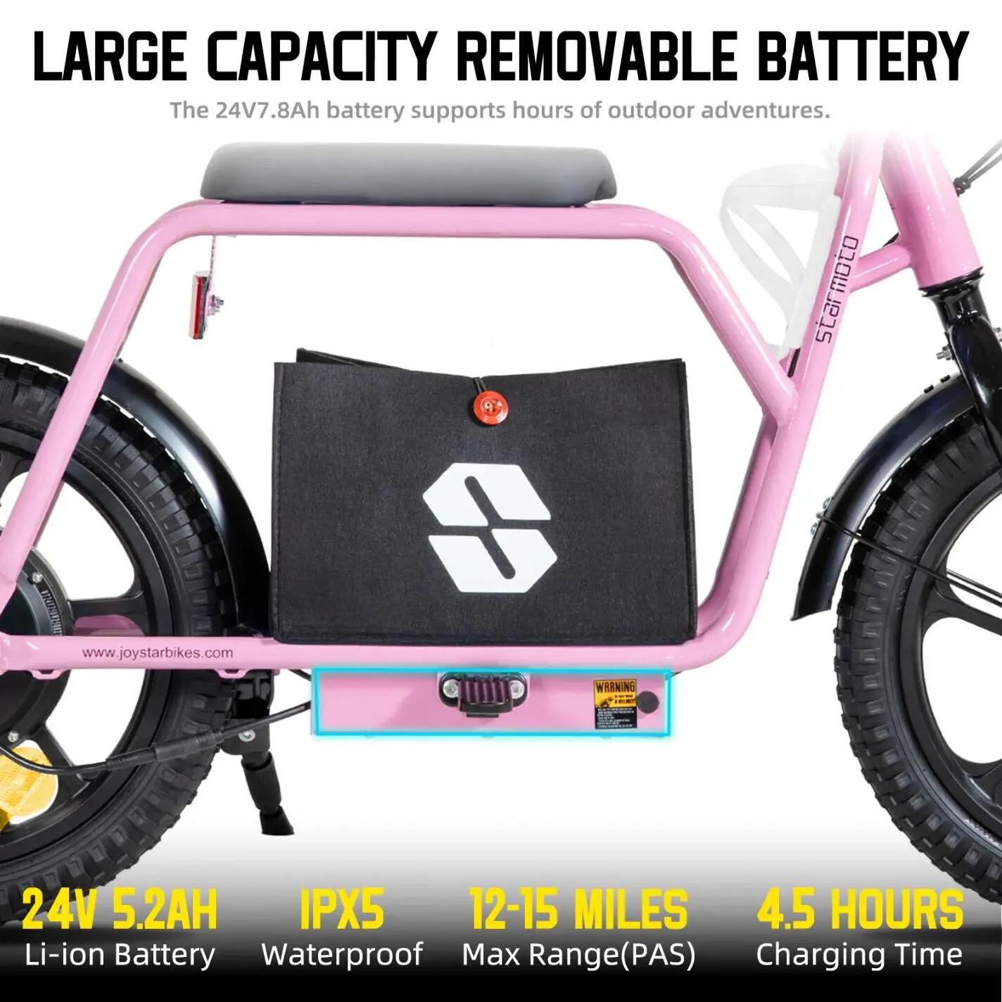 Kinder Elektrische Loopfiets 16 inch 250W 24V Uitneembare Accu 3/7