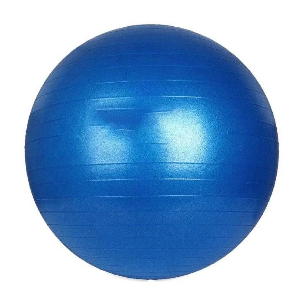 Ballon D´exercice DK Adulte (Bleu) 65 cm 3/4