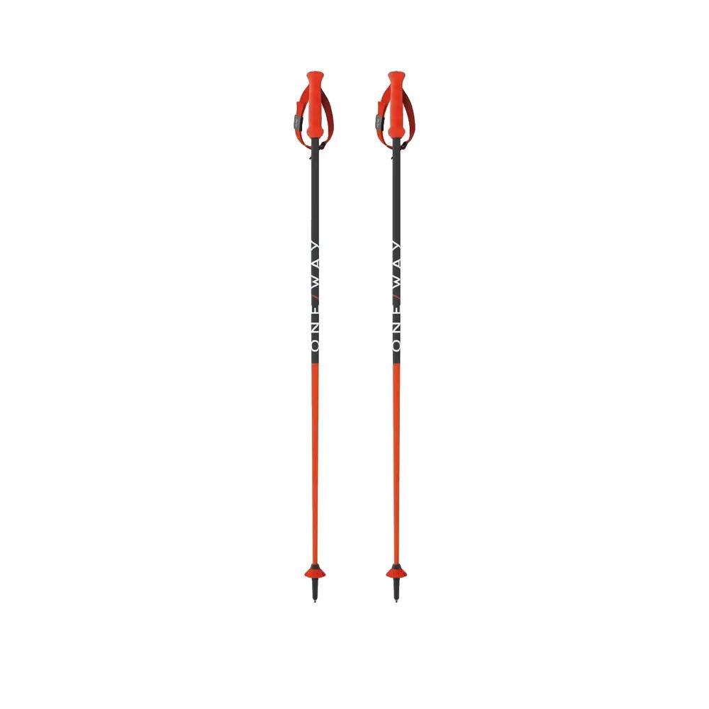 Bâtons de ski Fischer RD SL Junior Orange 2/6