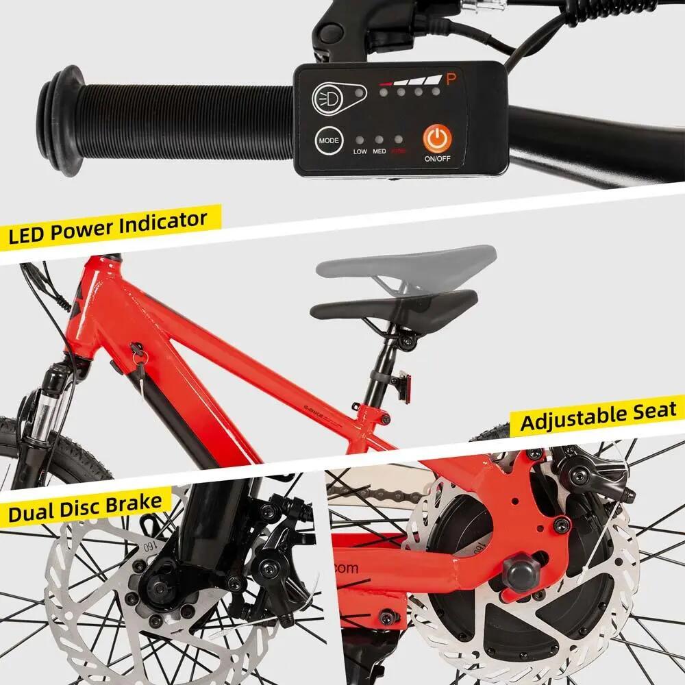 Kinder Jugendliche E-Mountainbike 20/24 Zoll 250W Akku 5/6
