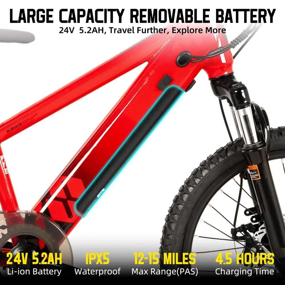 Kinder Jugendliche E-Mountainbike 20/24 Zoll 250W Akku 3/6