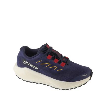 Chaussures de trail Salomon Aero Blaze 3 Gravel Bleu