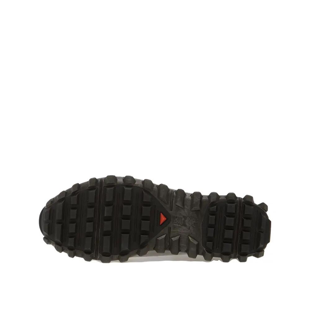 SALOMON picture