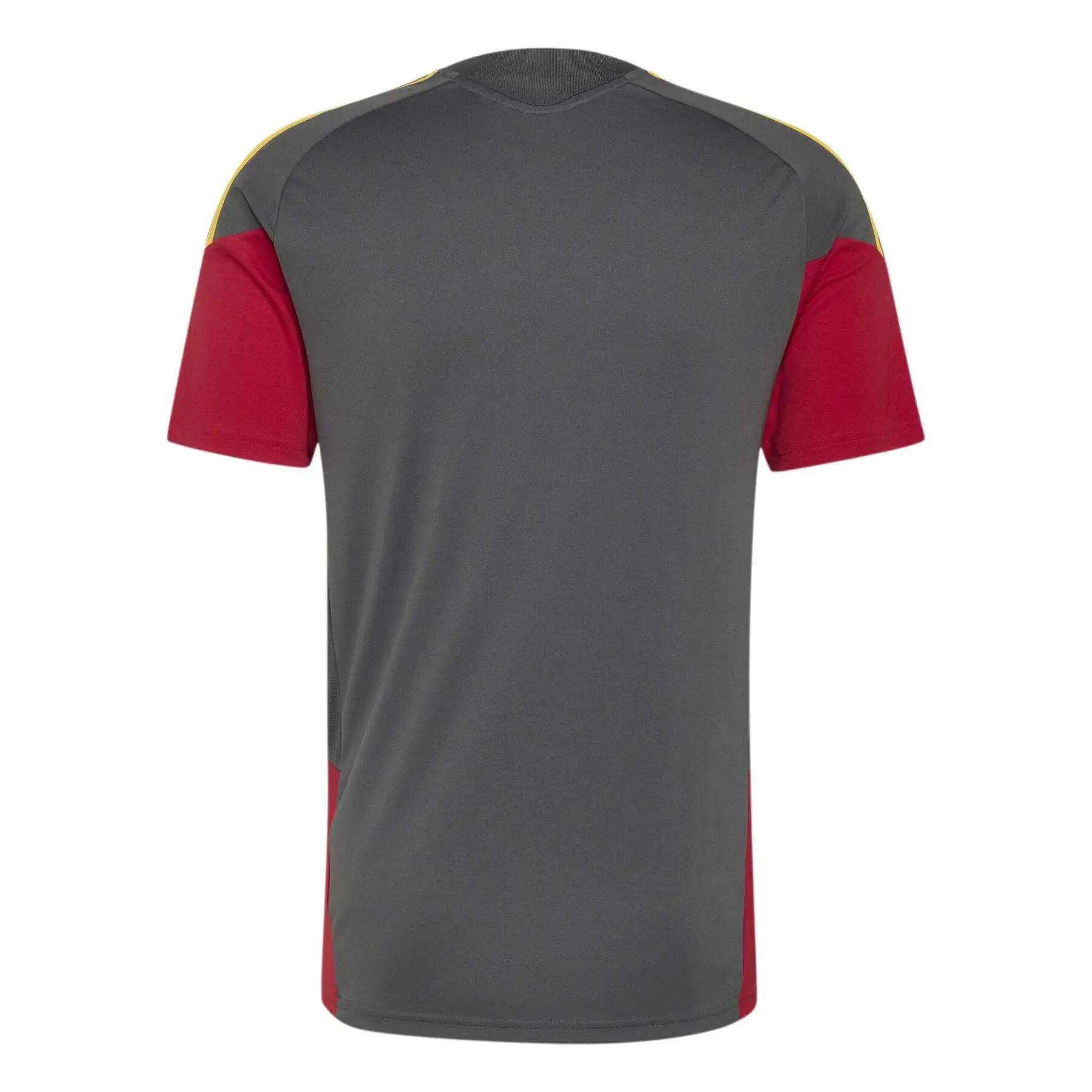 Wettkampf-Trikot AS Roma Competition Tiro 26 4/7