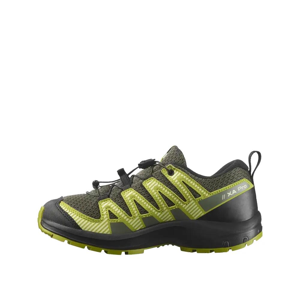 SALOMON picture