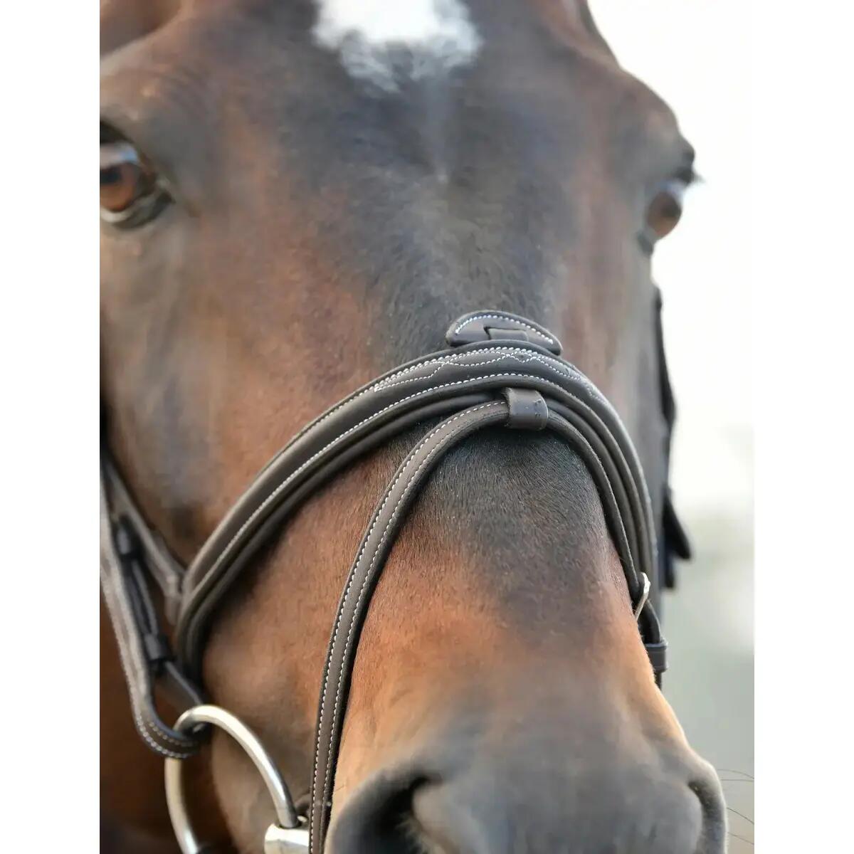 Bridon équitation hanovrienne rembourrée Collegiate Comfitec Opulux Fancy Stitch 7/7