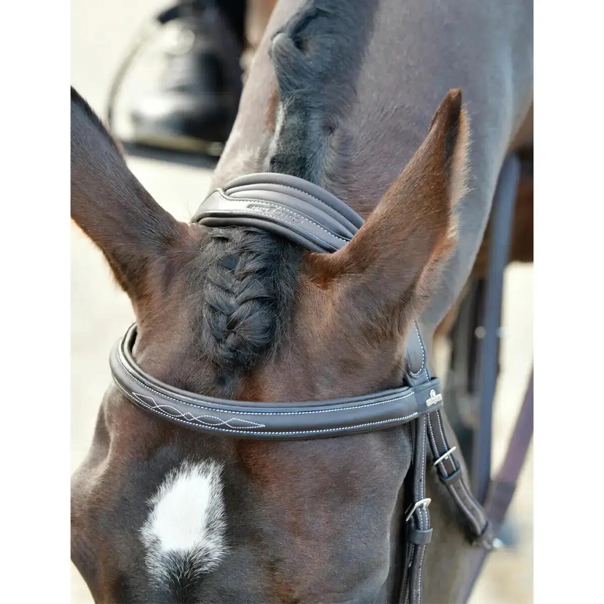 Bridon équitation hanovrienne rembourrée Collegiate Comfitec Opulux Fancy Stitch 6/7