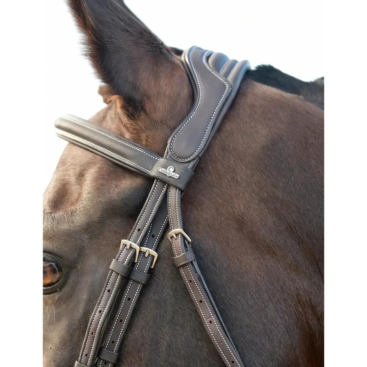 Bridon équitation hanovrienne rembourrée Collegiate Comfitec Opulux Fancy Stitch 5/7