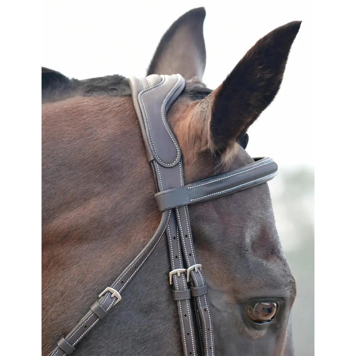 Bridon équitation hanovrienne rembourrée Collegiate Comfitec Opulux Fancy Stitch 4/7