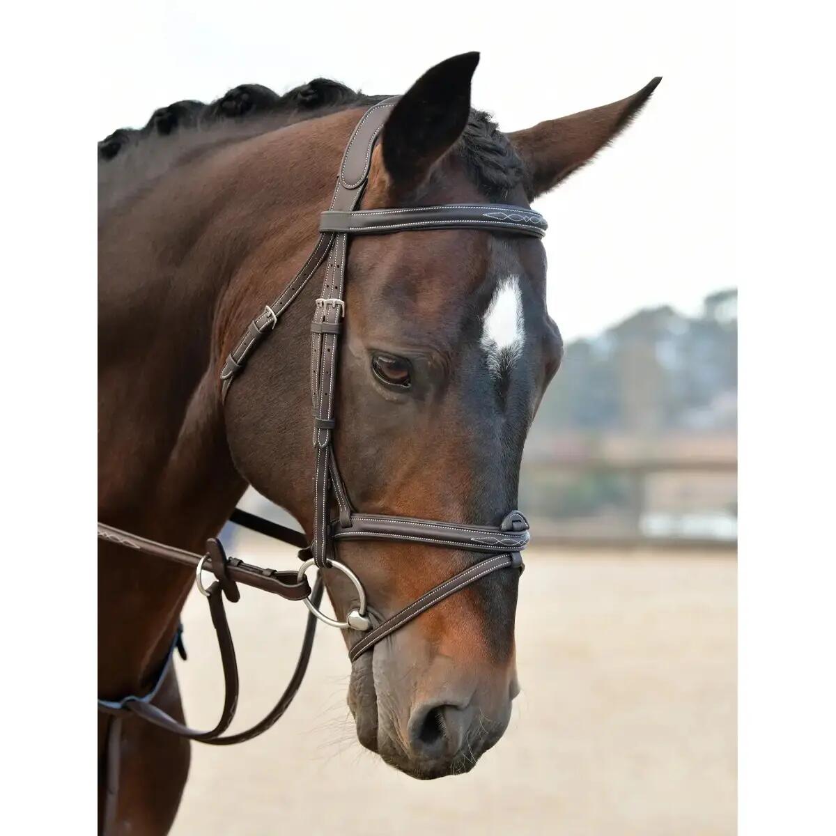 Bridon équitation hanovrienne rembourrée Collegiate Comfitec Opulux Fancy Stitch 3/7