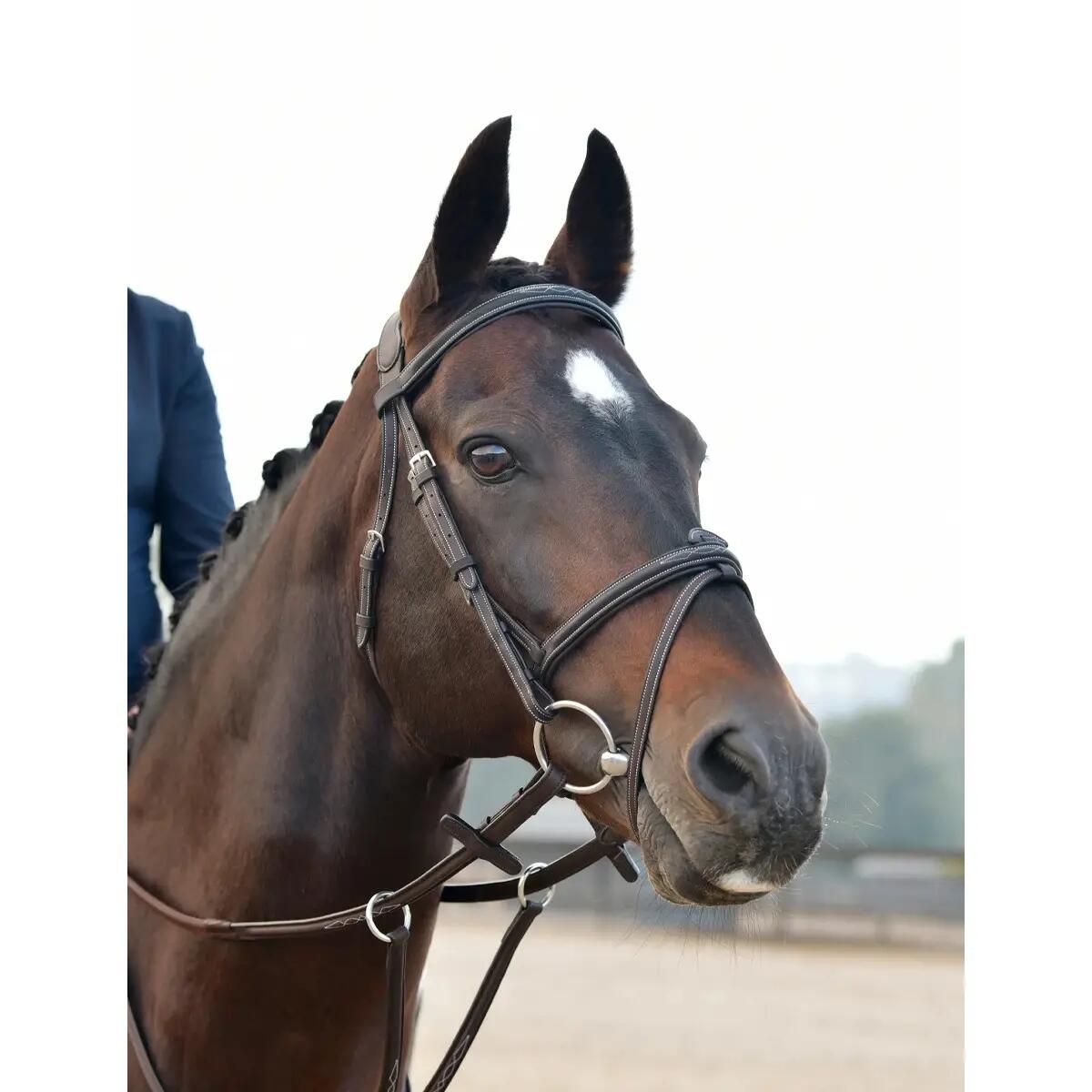 Bridon équitation hanovrienne rembourrée Collegiate Comfitec Opulux Fancy Stitch 2/7