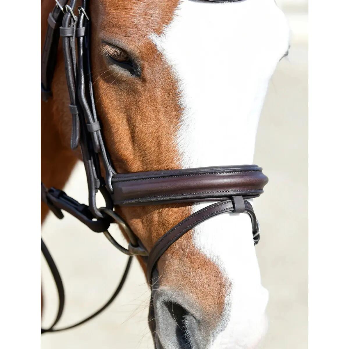 Bridon équitation flash hanovrienne rembourrée Collegiate Comfitec Opulux 3/3