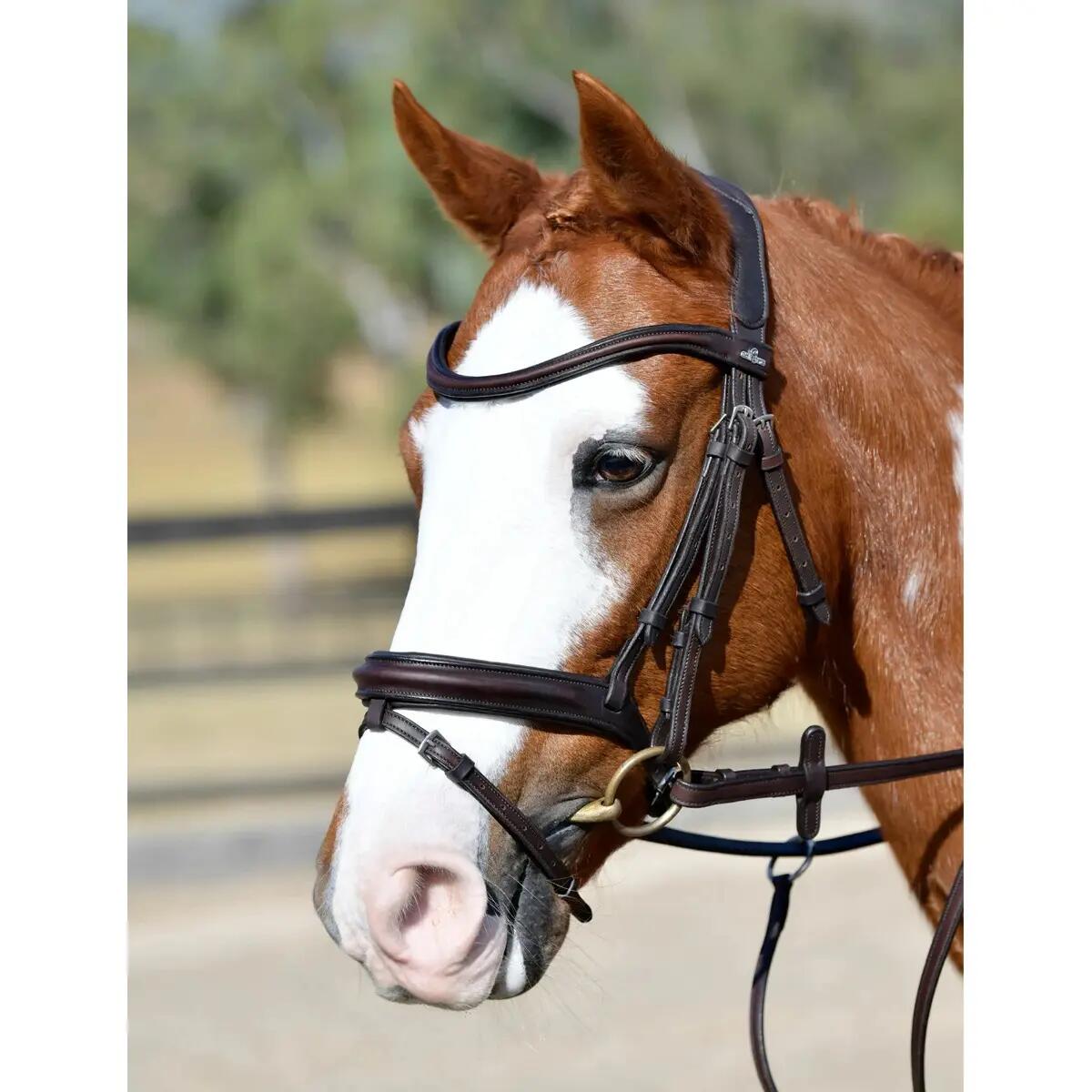 Bridon équitation flash hanovrienne rembourrée Collegiate Comfitec Opulux 2/3