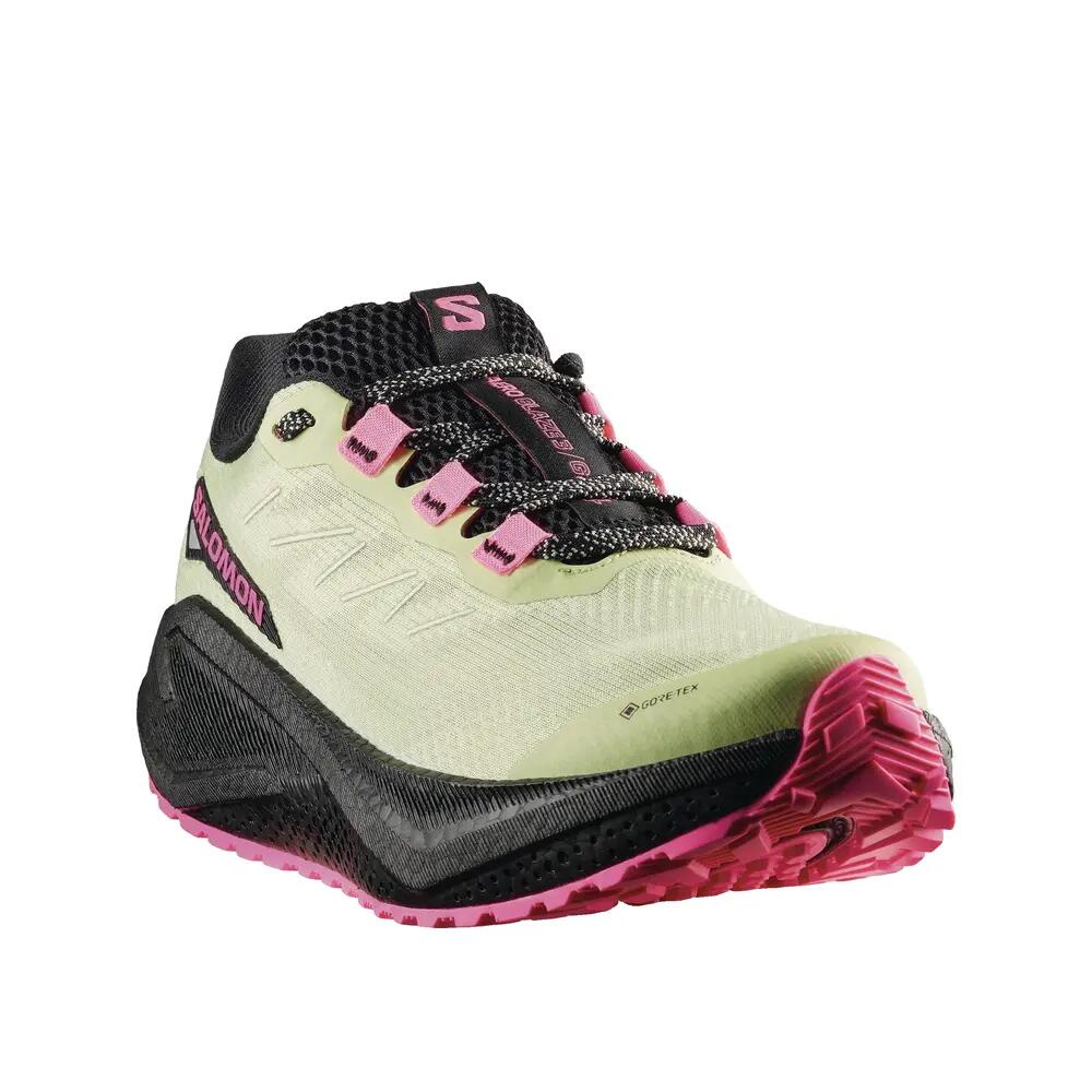 Trail Schuhe Salomon Aero Blaze 3 GRVL GORE-TEX 6/7