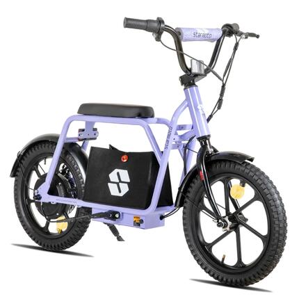 Enfant Draisienne Électrique 16 pouces 250W 24V Batterie Amovible