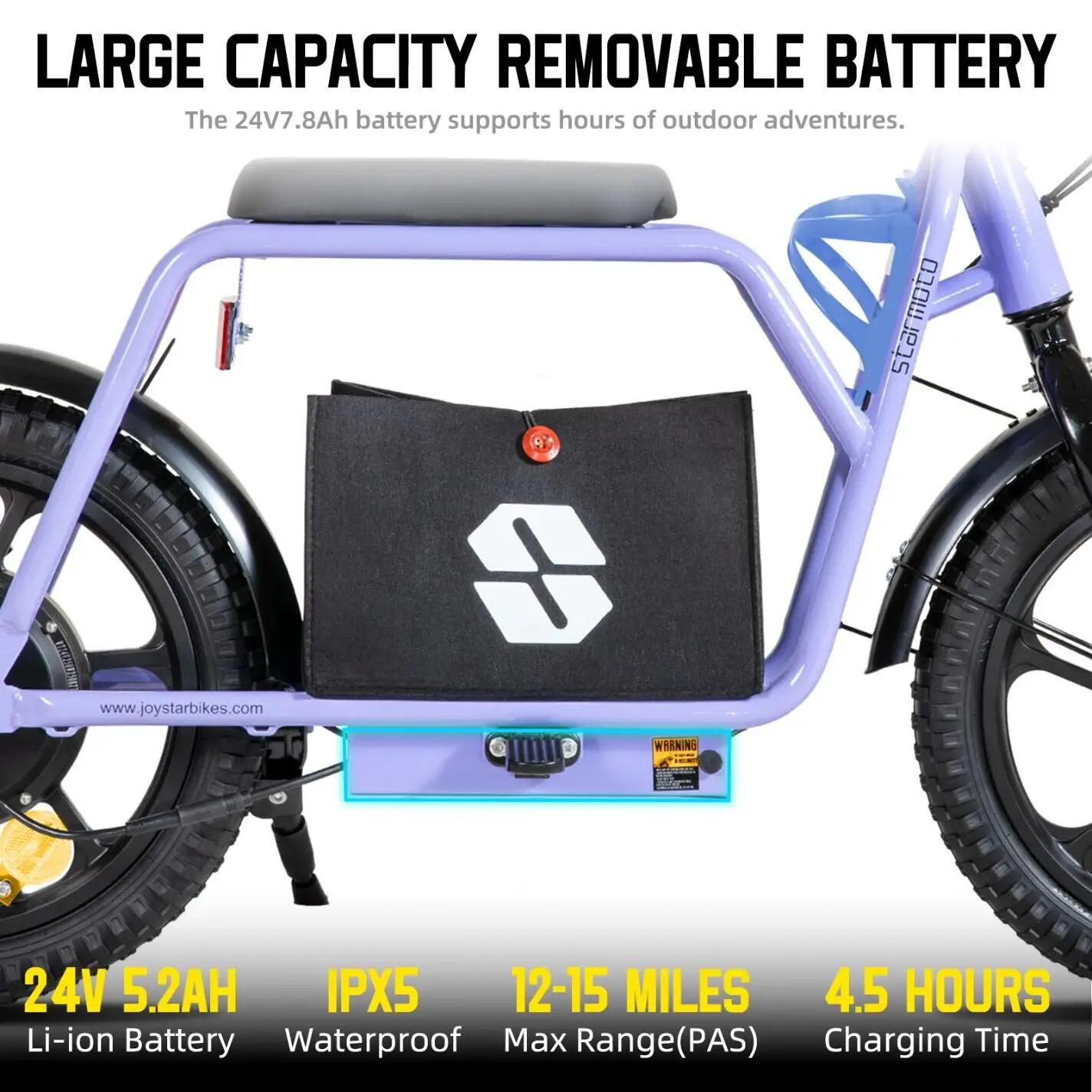 Kinder Elektrische Loopfiets 16 inch 250W 24V Uitneembare Accu 3/7