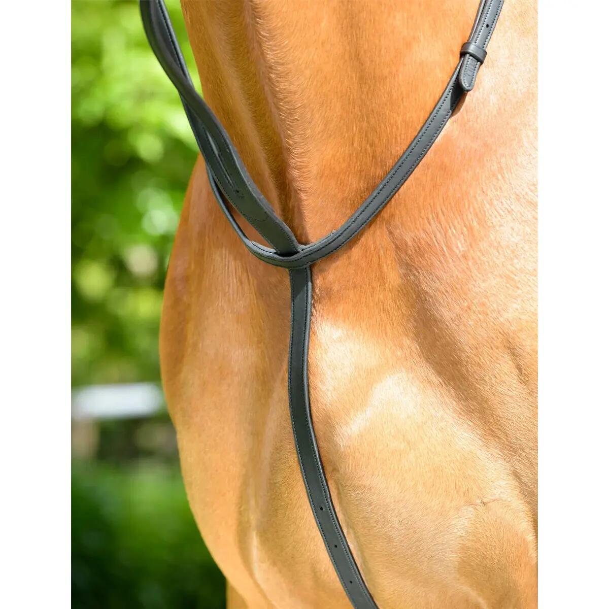 Martingale de course pour cheval plate Collegiate Comfitec Opulux 2/3