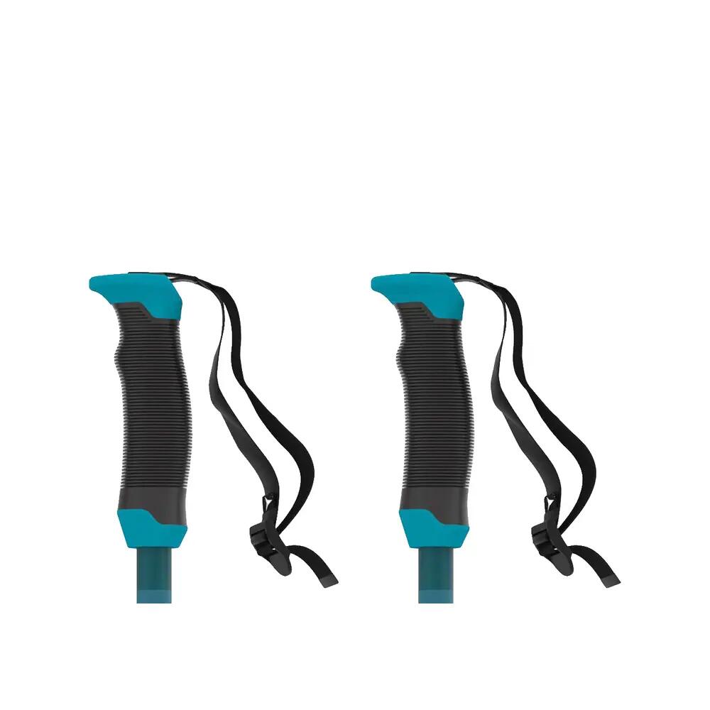 Bâtons de ski Atomic Redster X SQS 5/6