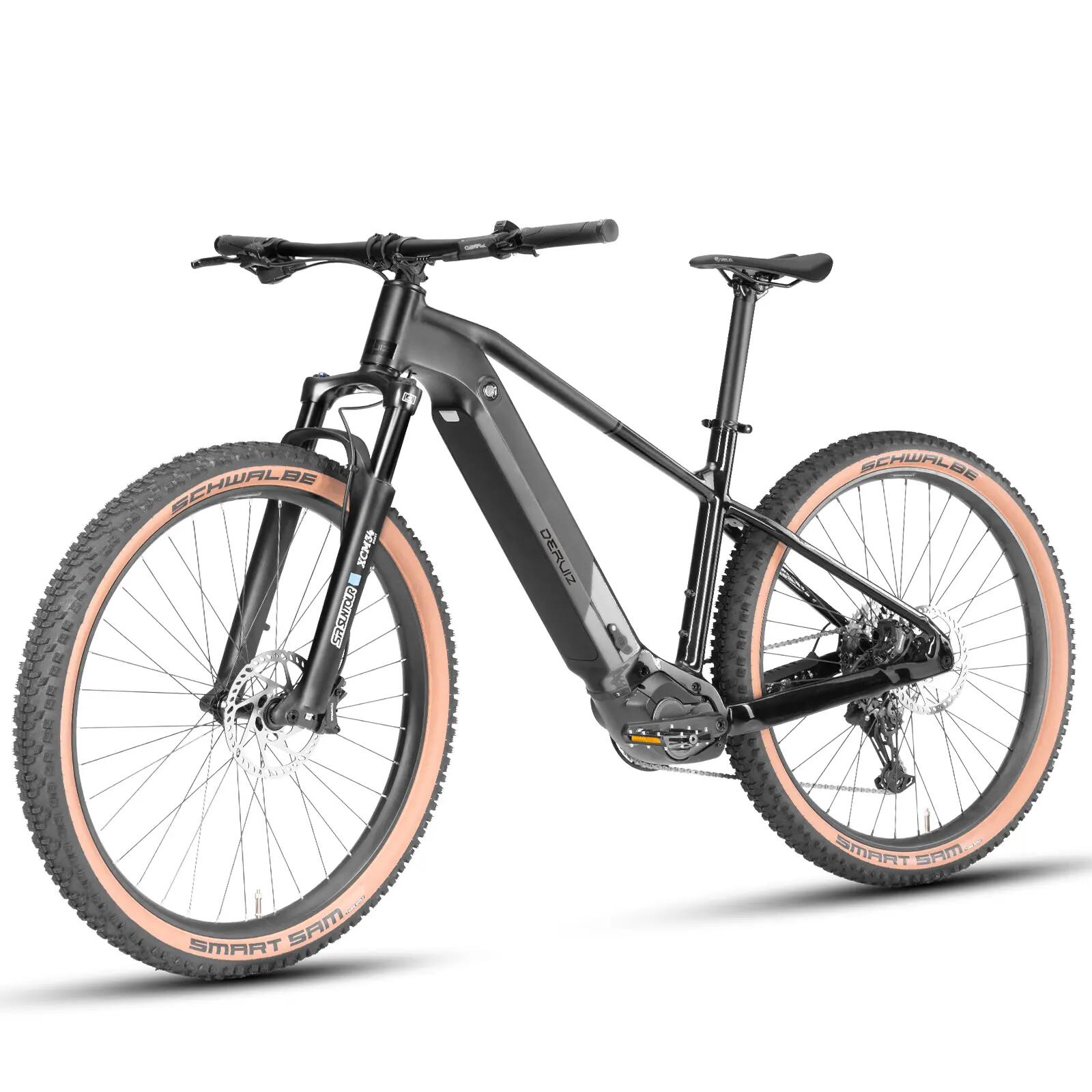 Dolomit Ebike MTB 29 Zoll 250W 110 Nm Mittelmotor 720 Akku 11-G,180 KM 2/7