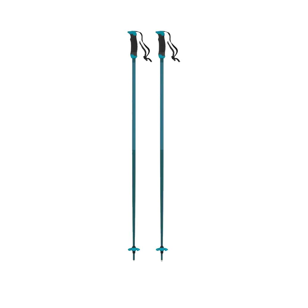 Bâtons de ski Atomic Redster X SQS 2/6