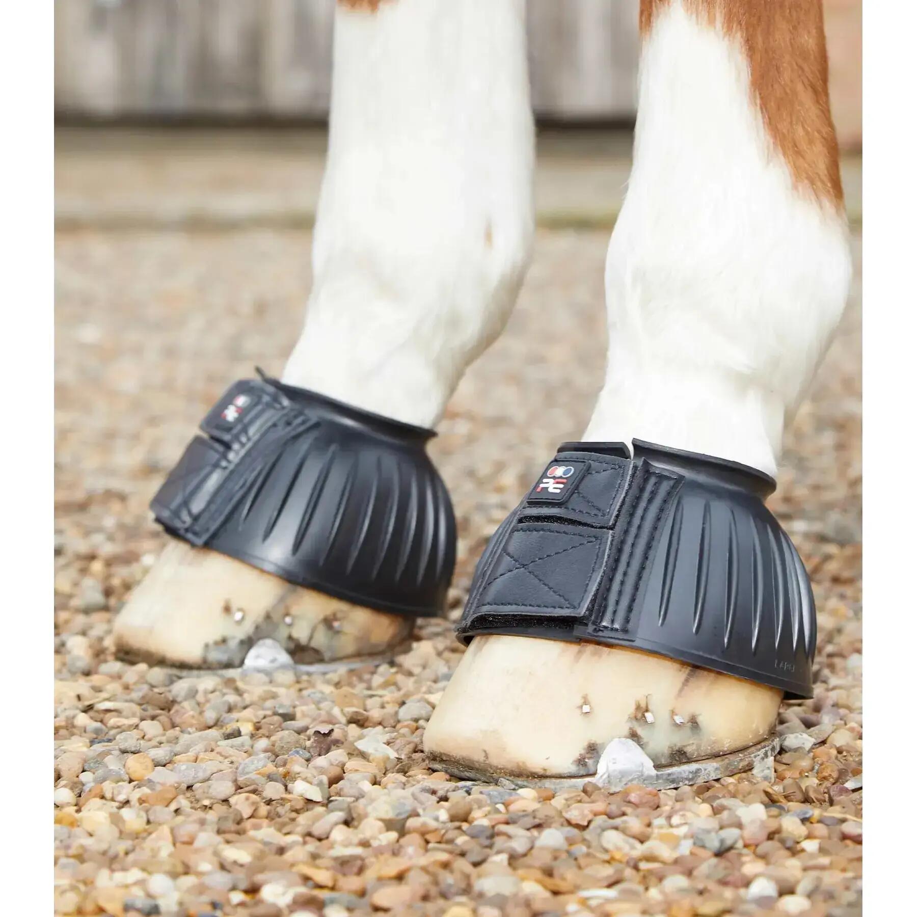 PREMIER EQUINE picture