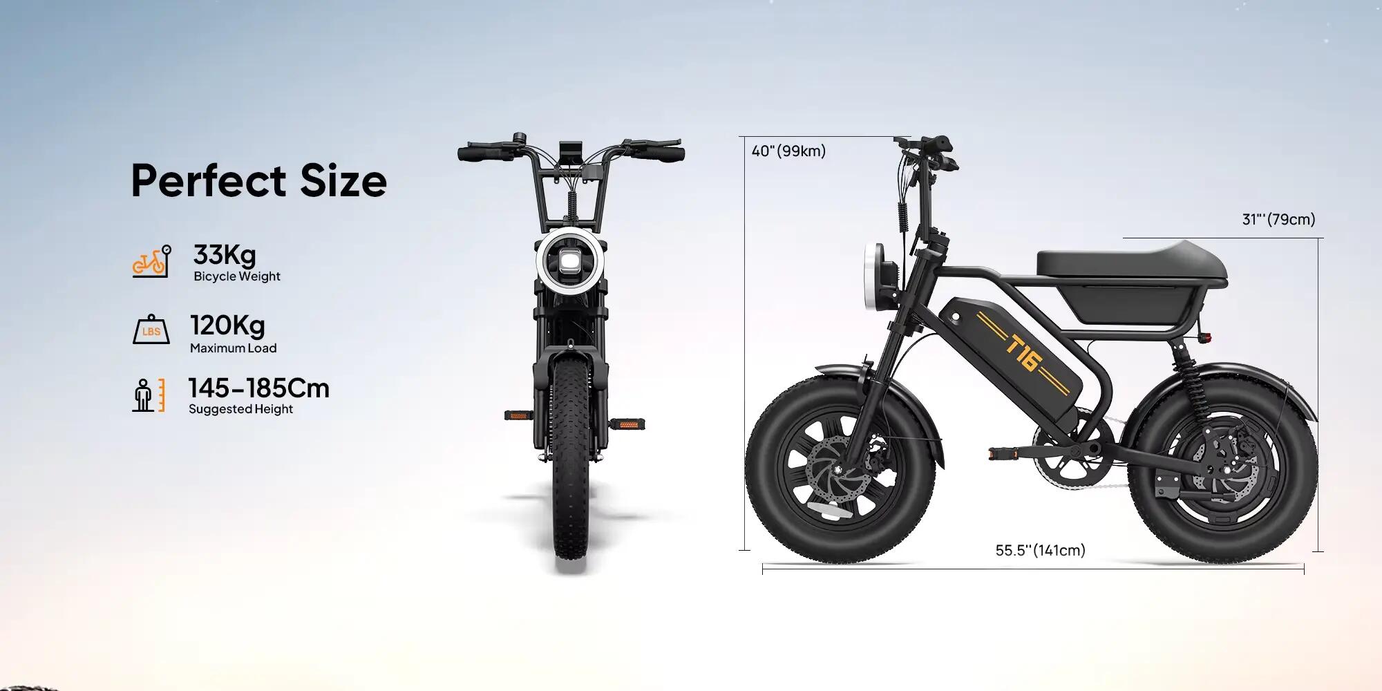 URLIFE T16 Electric Bicycle For Adults 250W Motor 48V 13AH Battery E-bike 16" Ti 8/10