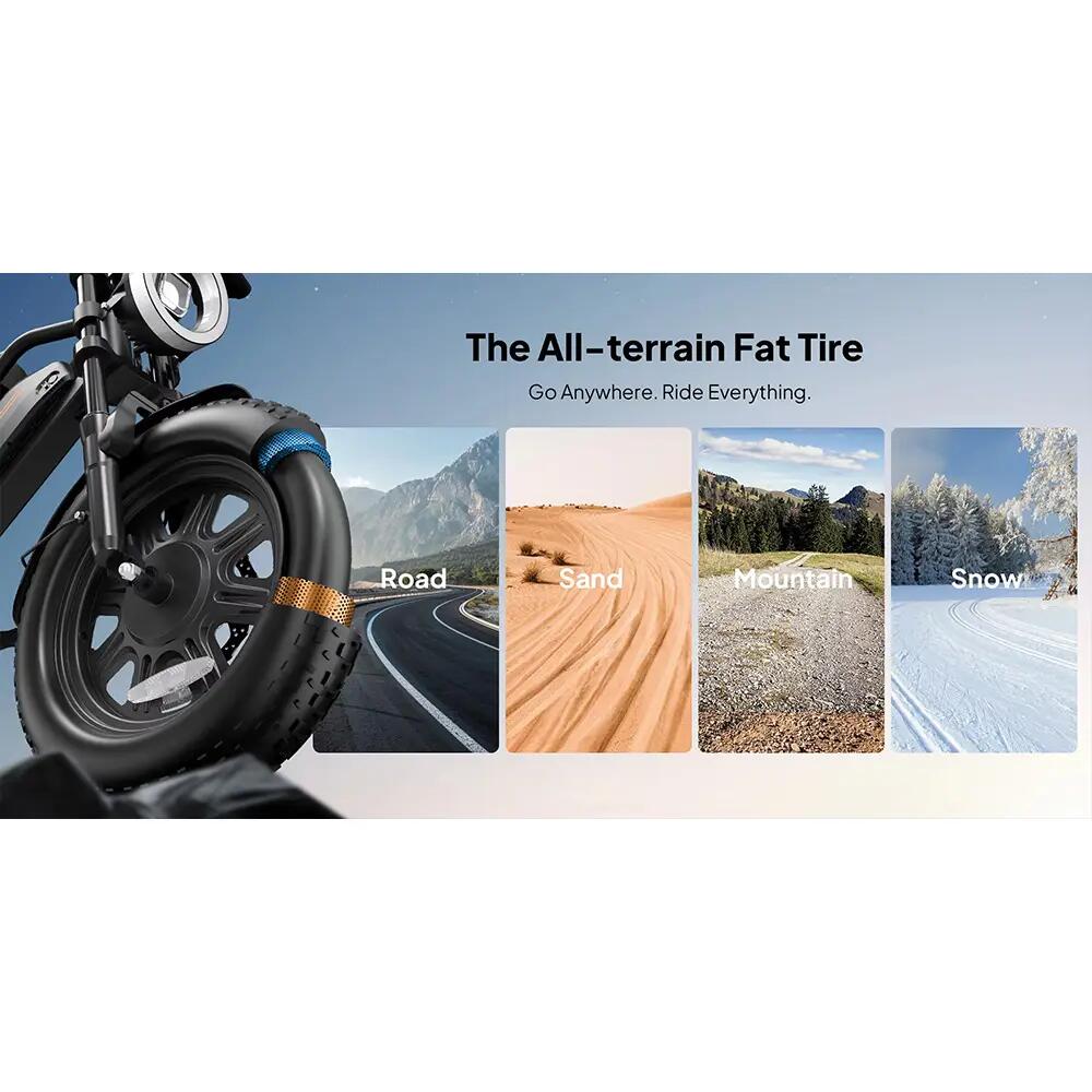 URLIFE T16 Electric Bicycle For Adults 250W Motor 48V 13AH Battery E-bike 16" Ti 5/10