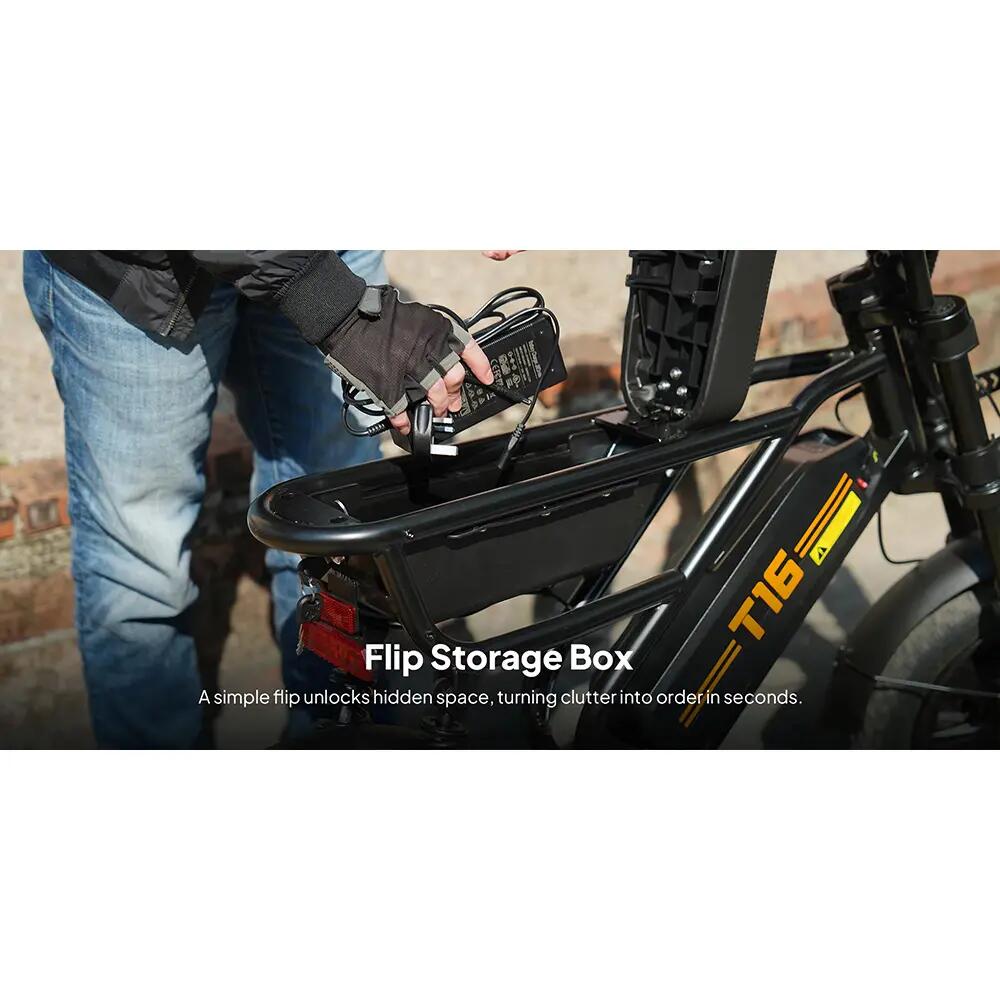 URLIFE T16 Electric Bicycle For Adults 250W Motor 48V 13AH Battery E-bike 16" Ti 4/10