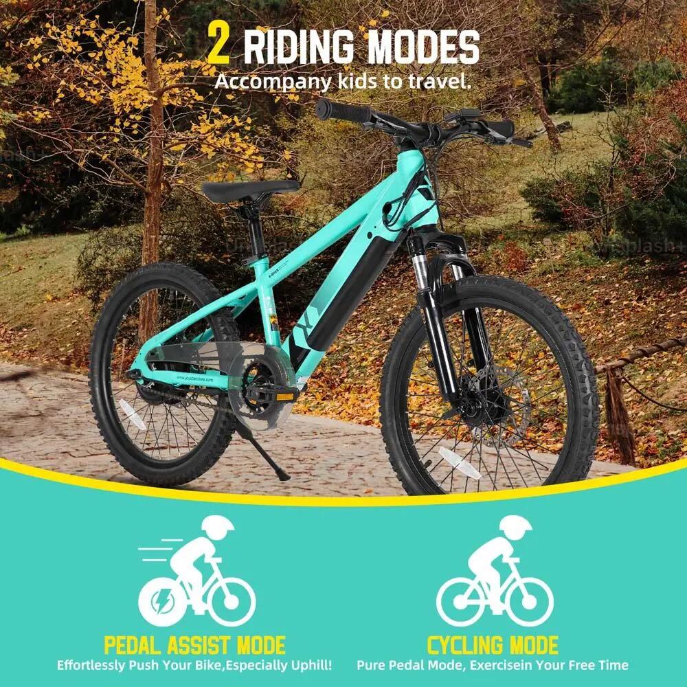 Kinder Jugendliche E-Mountainbike 20/24 Zoll 250W Akku 4/6
