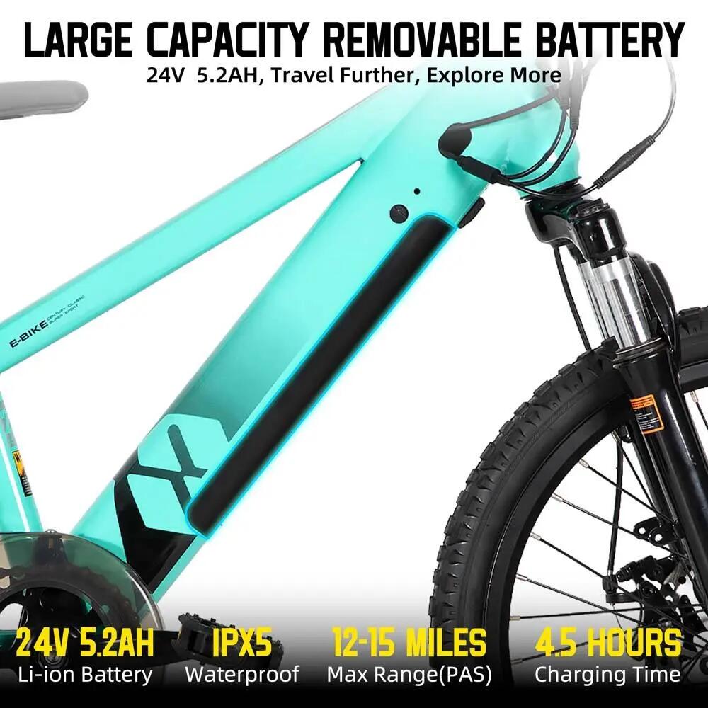 Kinder Jugendliche E-Mountainbike 20/24 Zoll 250W Akku 3/6