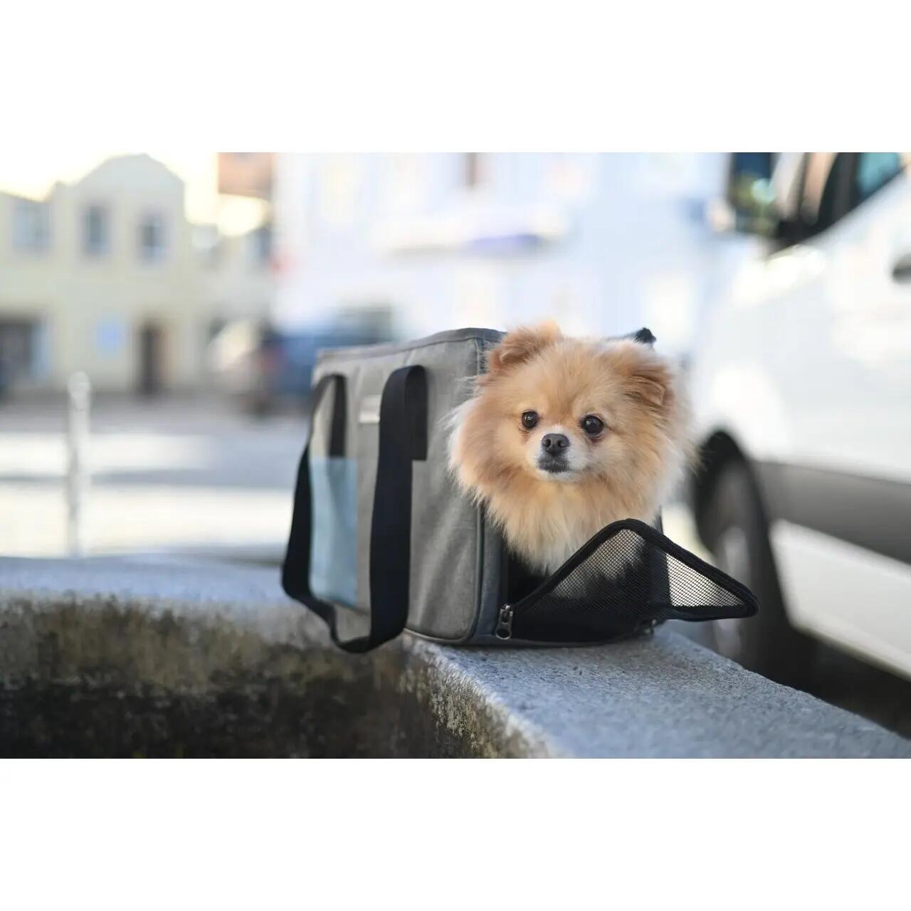 Férias com saco para cães Kerbl 4/5
