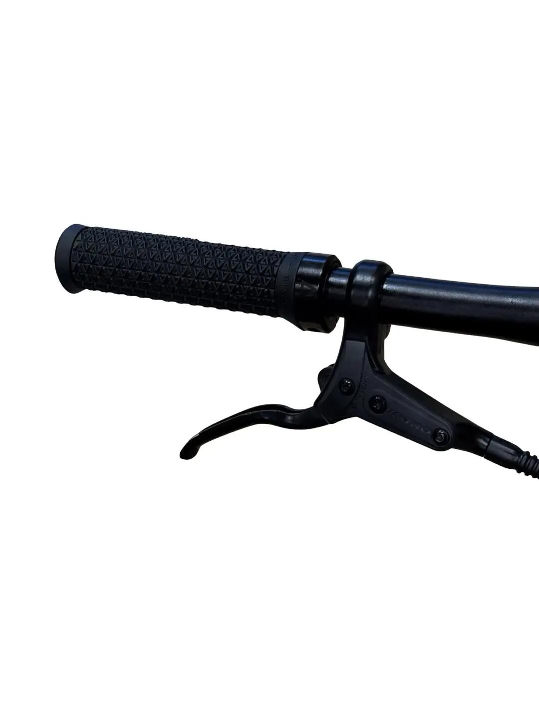 Reconditionné - Vélo électrique Tenways CGO600 Single-Speed- comme neuf 5/12