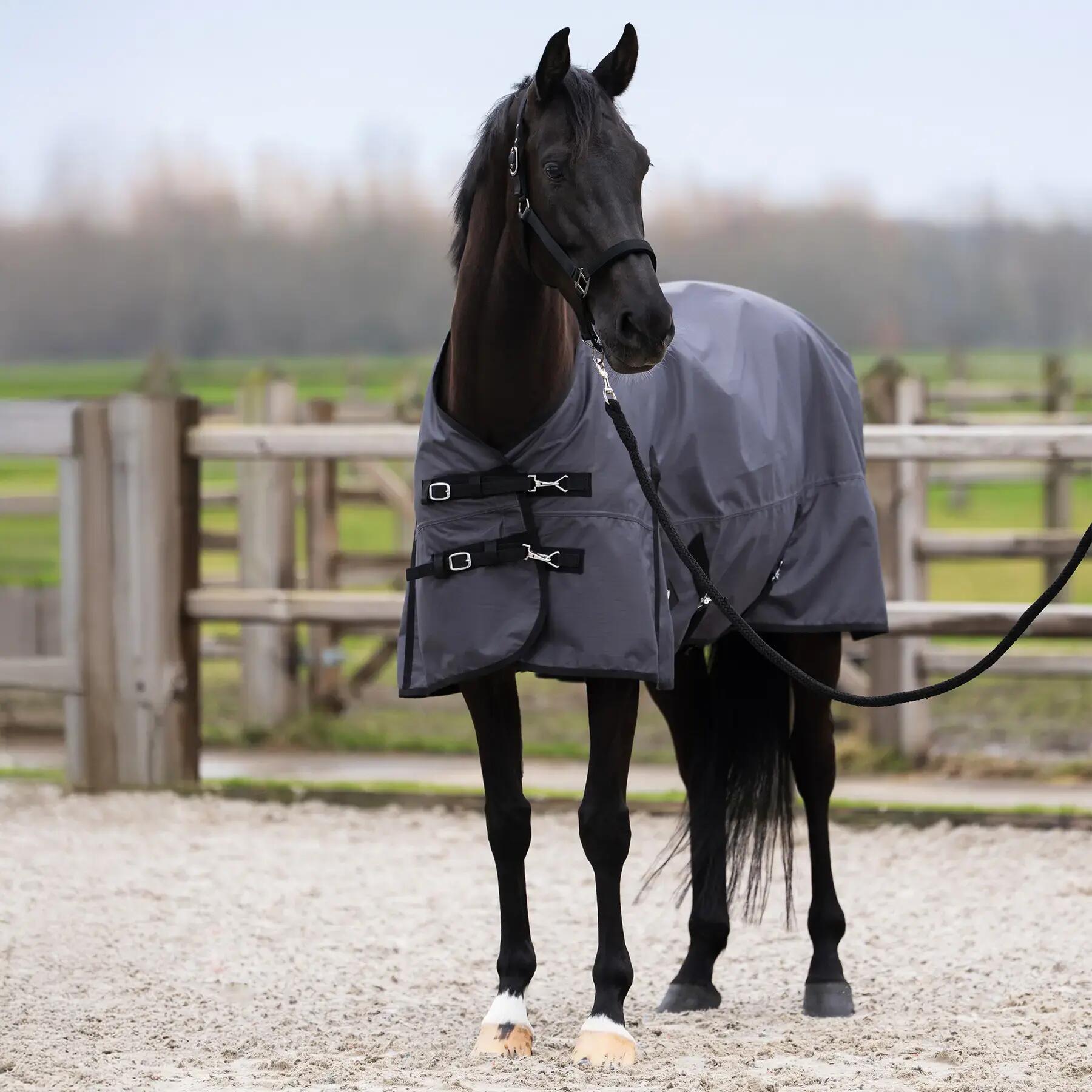 Outdoor paardendeken Imperial Riding Limited 100 g 2/5
