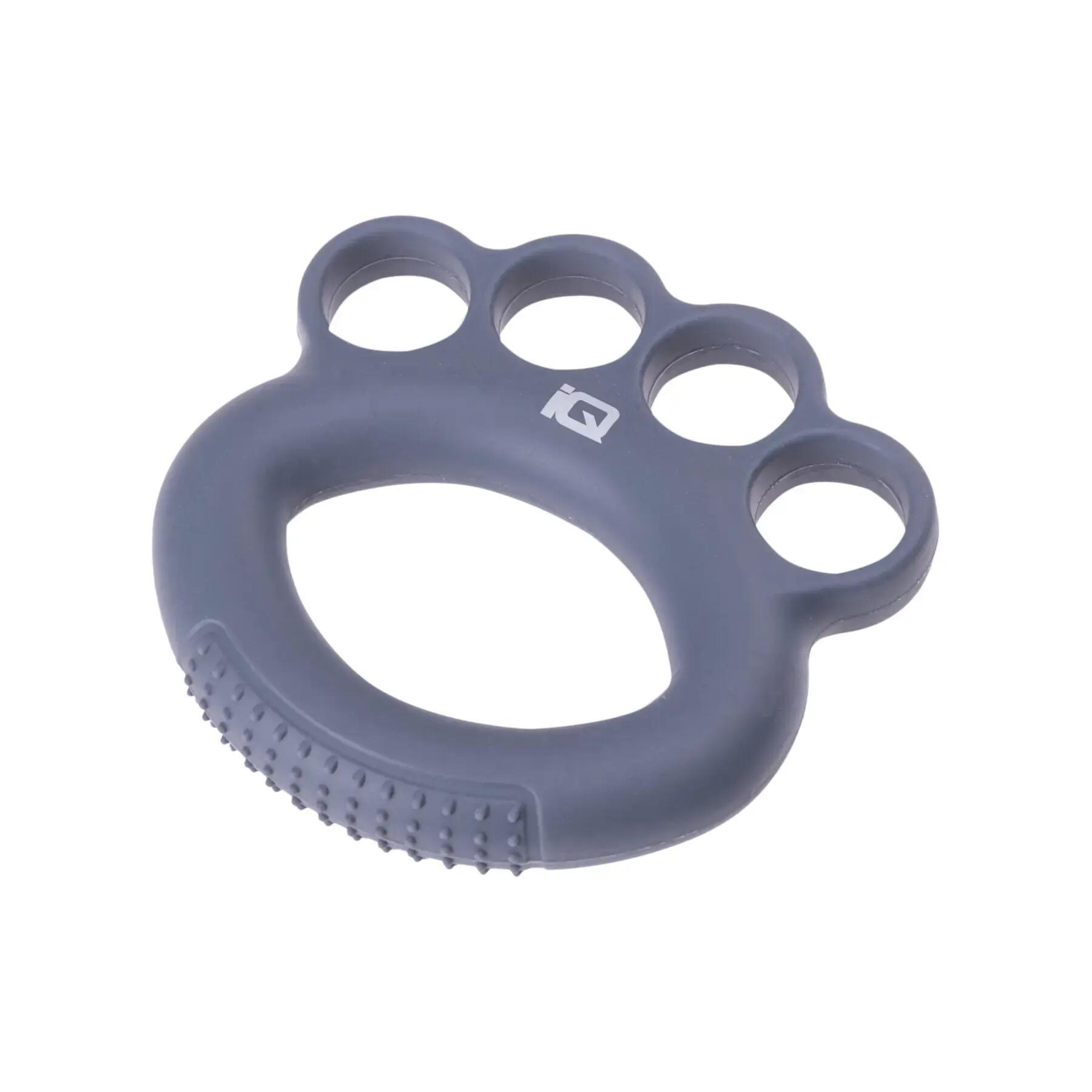 Ring IQ Intelligence Quality Giro Light Ii 2/3